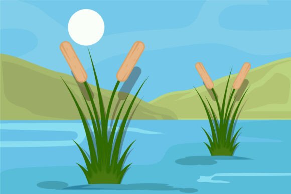 Cattails at Lake Landscaped Vector